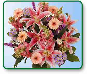 flowers,delivery,flower,nationwide,flower delivery,nationwide,send flowers,shop flowers,roses.discount,valentines day flower,birthday,flowers,roses,wild, 
lotus,send,delivery,online,1 800,silk, shop flowers,valentines day,garden,virtual,arrangement,horn,tropical,ftd,power,wholesale,photo,hawaiian,bulb,
balloon,balloons,delivery,bouquet