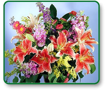 nationwide,flower delivery,nationwide,send flowers,shop flowers,roses.discount,valentines day flower,birthday,flowers,roses,wild, 
lotus,send,delivery,online,1 800,silk, shop flowers,valentines day,garden,virtual,arrangement,horn,tropical,ftd,power,wholesale,photo,hawaiian,bulb,
balloon,balloons,delivery,bouquet