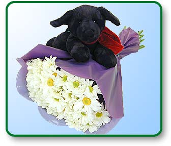 flower delivery,nationwide,send flowers,shop flowers,roses.discount,valentines day flower,birthday,flowers,roses,wild, 
lotus,send,delivery,online,1 800,silk, shop flowers,valentines day,garden,virtual,arrangement,horn,tropical,ftd,power,wholesale,photo,hawaiian,bulb,
balloon,balloons,delivery,bouquet, nationwide ,cheap,algernon,hentai,funeral,fairy,pot,gift,fresh,bridal,purple,seed,discount,Send Flowers 
valentines, mothers, fathers,day, baby boy, girl, anniversary,get well, thankyou, thankyou,vase,blue,passion,origami,order,sun,Send Flowers 
Congratulations, I love you,delivery,bouquet,flower, delivery, nationwide,shop flowers send flowers roses arrangements, floral bouquetSend Flowers 
,valentines day,nationwide, flower delivery,shop flowers, theme,message, singing telegram,singing telegrams,discount, party supply ,supplies,spring,next day florist,
buy,e,daisy,basket,red,flowers,valentines day flowers,flower delivery,nationwide,send flowers,shop flowers,roses.discount,valentines day flower,shop birthday,flowers,roses,wild, 
lotus,send,delivery,online,1 800,silk, shop flowers,valentines day,garden,virtual,arrangement,horn,tropical,ftd,power,wholesale,photo,hawaiian,bulb,
balloon,balloons,delivery,bouquet,delivery,bouquet,flower, delivery, send nationwide,shop flowers send flowers roses arrangements, floral bouquet